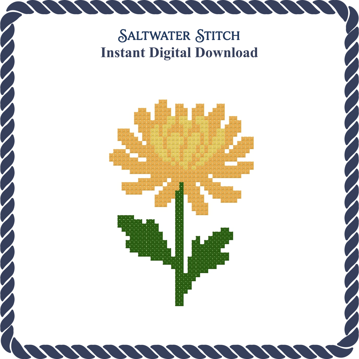 Chrysanthemum