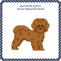 Fluffy Dog (Golden Brown)