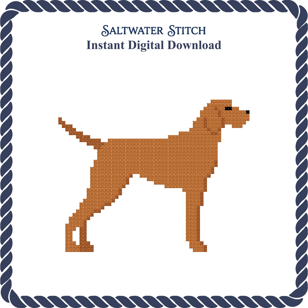 Vizsla Dog