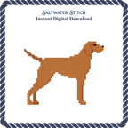 Vizsla Dog