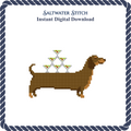 Dachshund with Champagne Tower