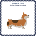Corgie (Tri-color)