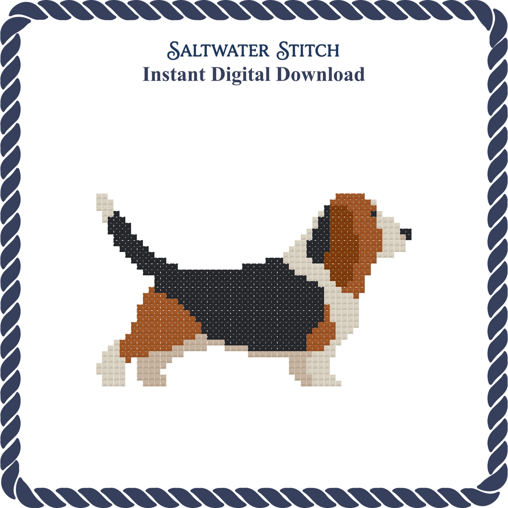 Basset Hound