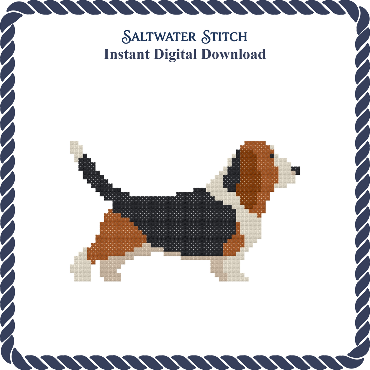 Basset Hound