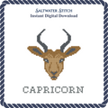 Capricorn