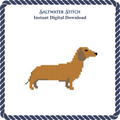 Dachshund Dog (Brown)