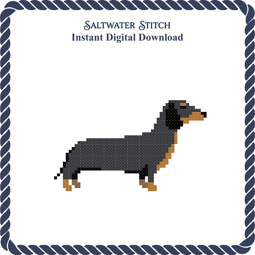 Dachshund Dog