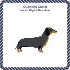 Dachshund Dog