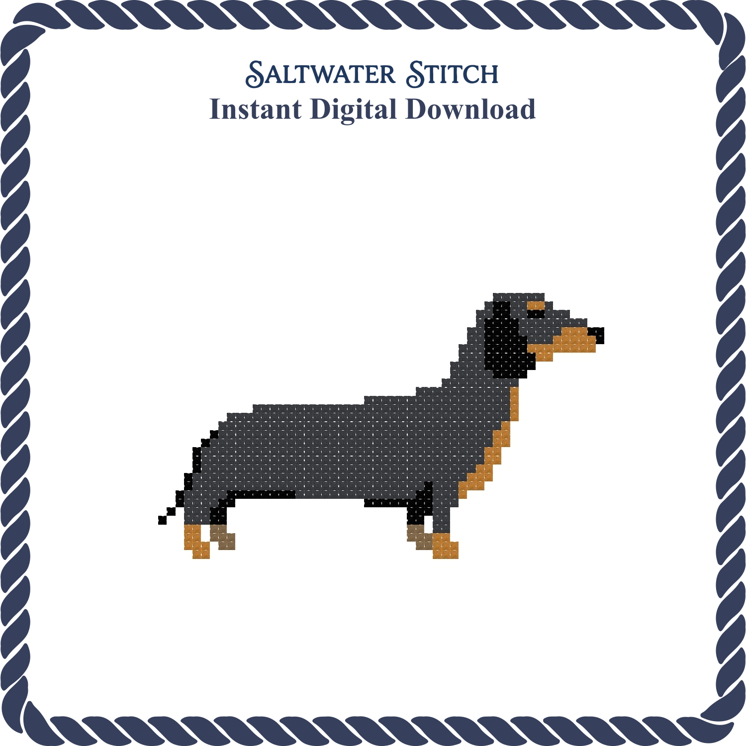 Dachshund Dog