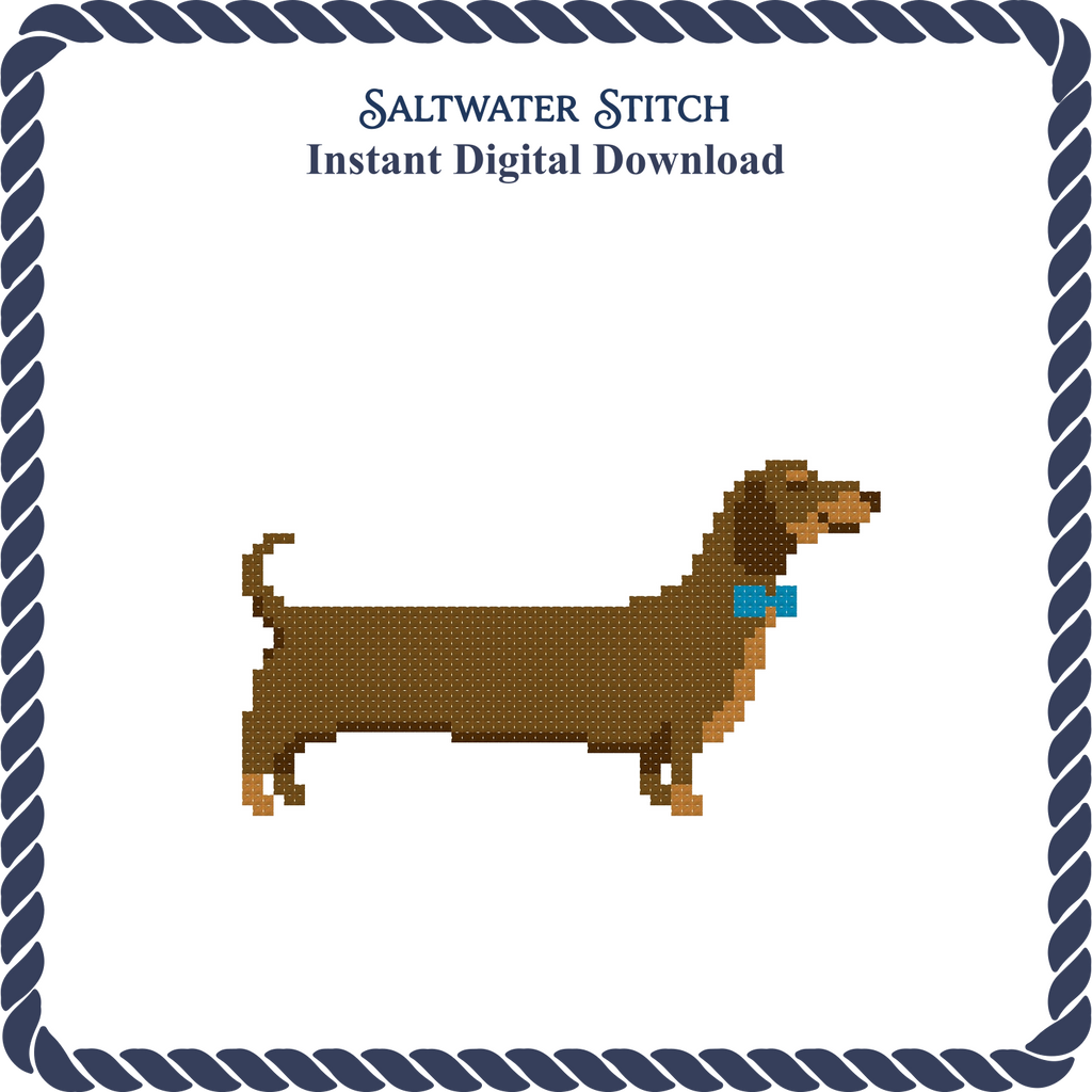 Dachshund in Bow Tie
