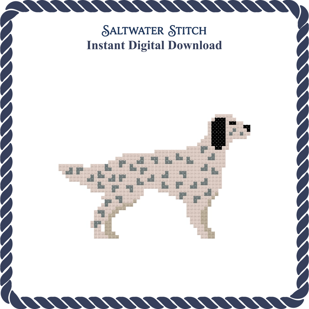 English Setter Dog