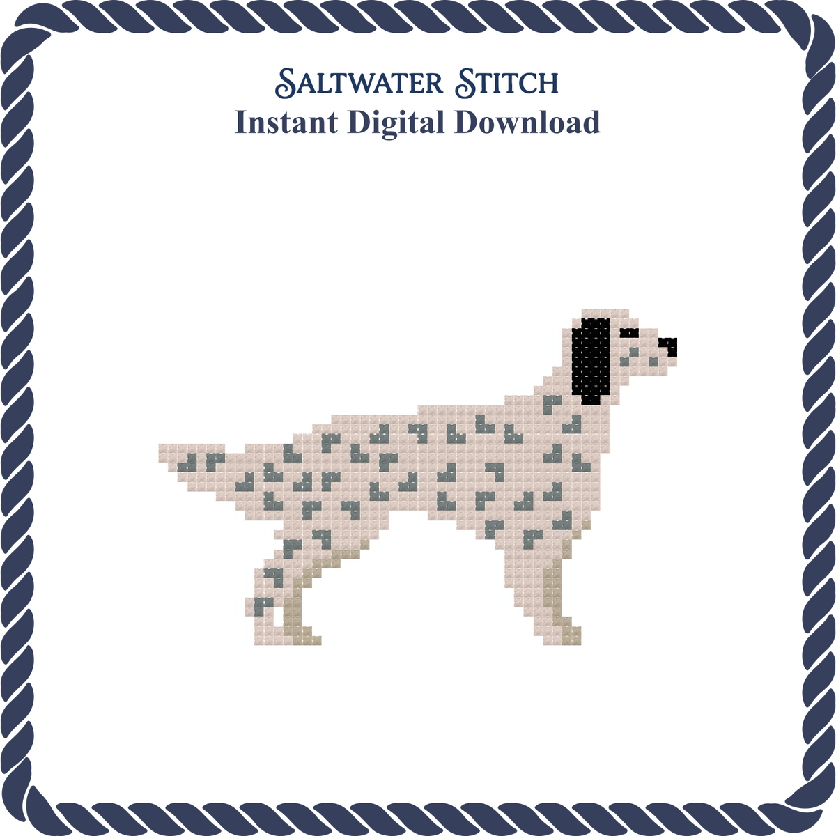 English Setter Dog