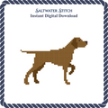 Pointer Dog