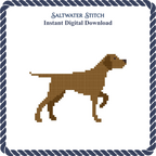 Pointer Dog