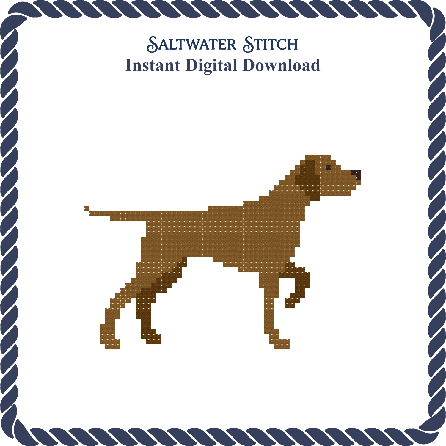 Pointer Dog